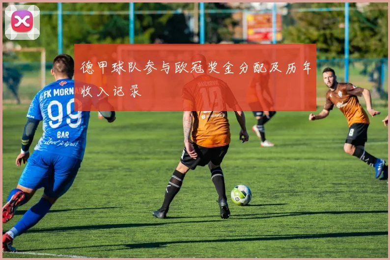 德甲球队参与欧冠奖金分配及历年收入记录