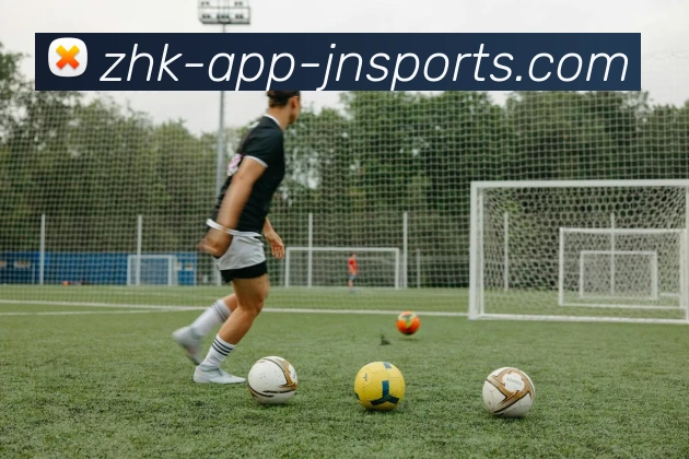 江南体育APP 封面图